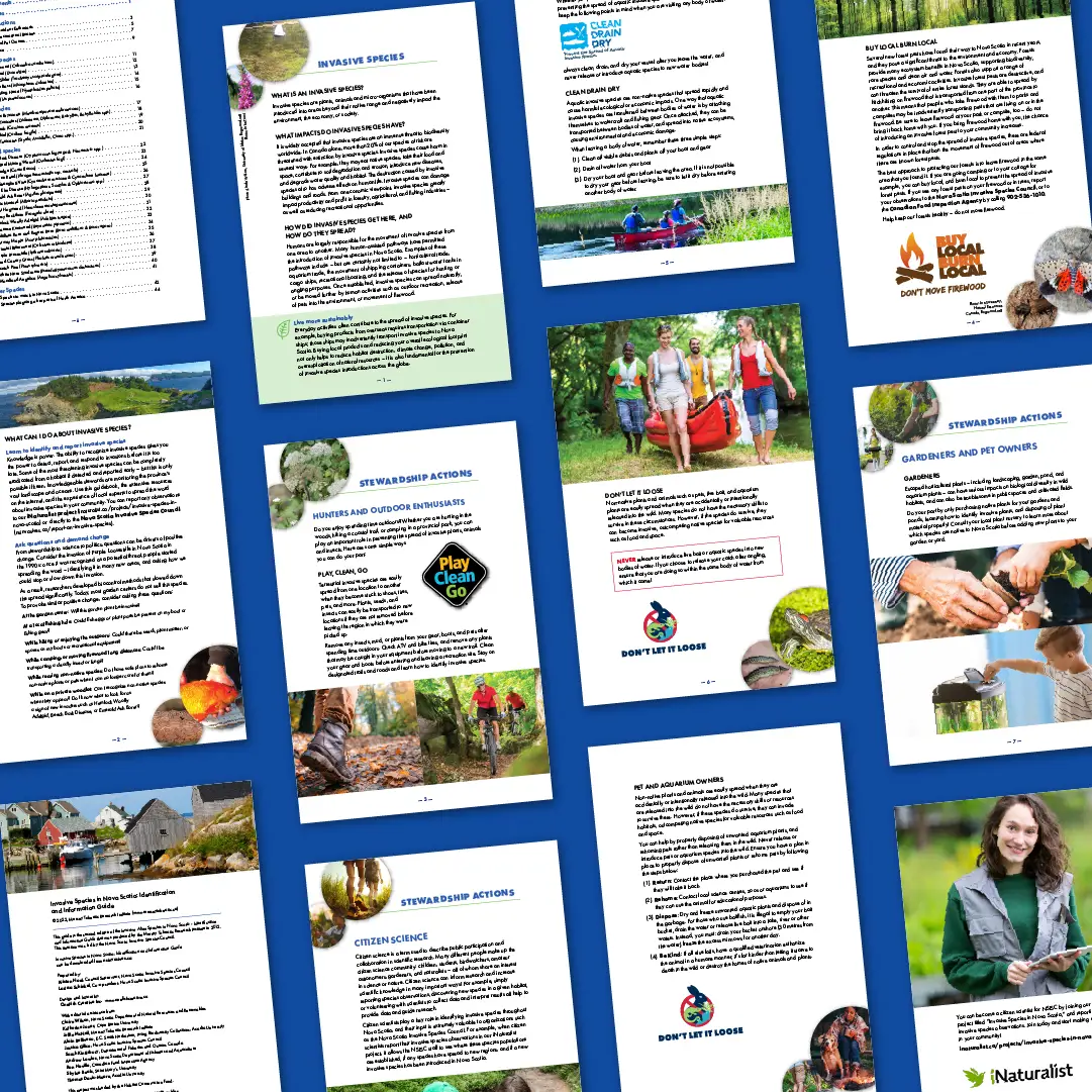 NSISC Species guide
