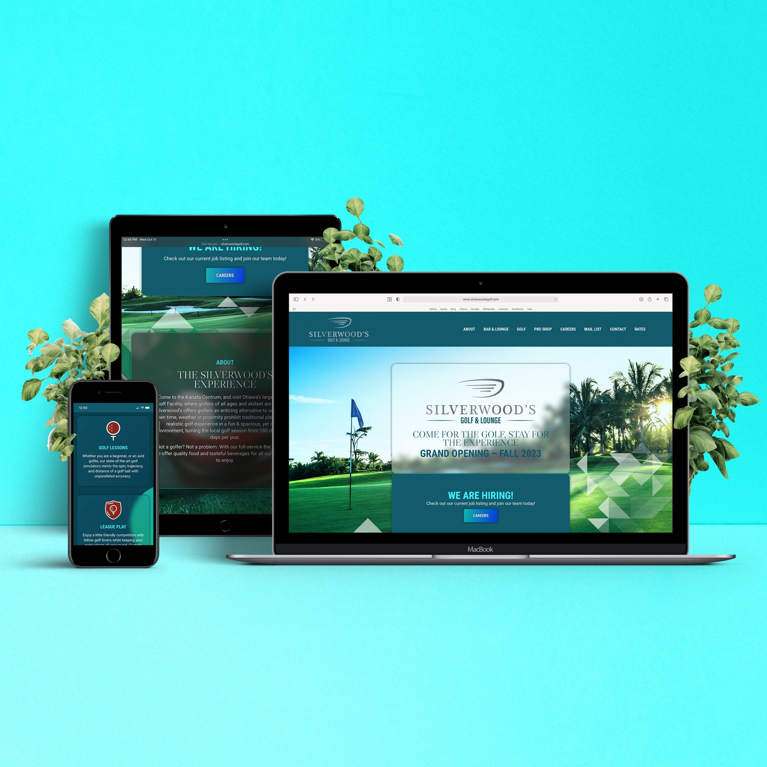 Silverwood's website design
